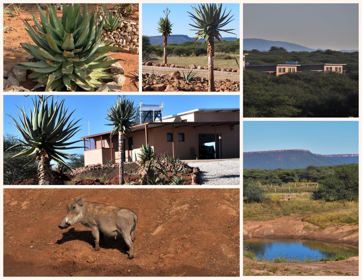 Cheetah View Lodge Otjiwarongo Εξωτερικό φωτογραφία
